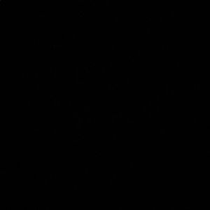 Meet your Posher, Layla